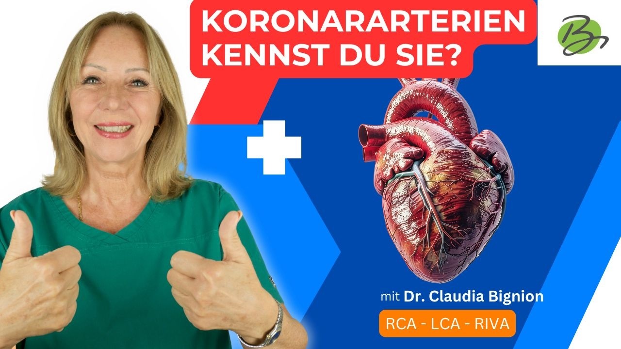 Koronararterien erklärt: RCA, LCA & RIVA einfach verstehen! | Dr. Claudia Bignion
