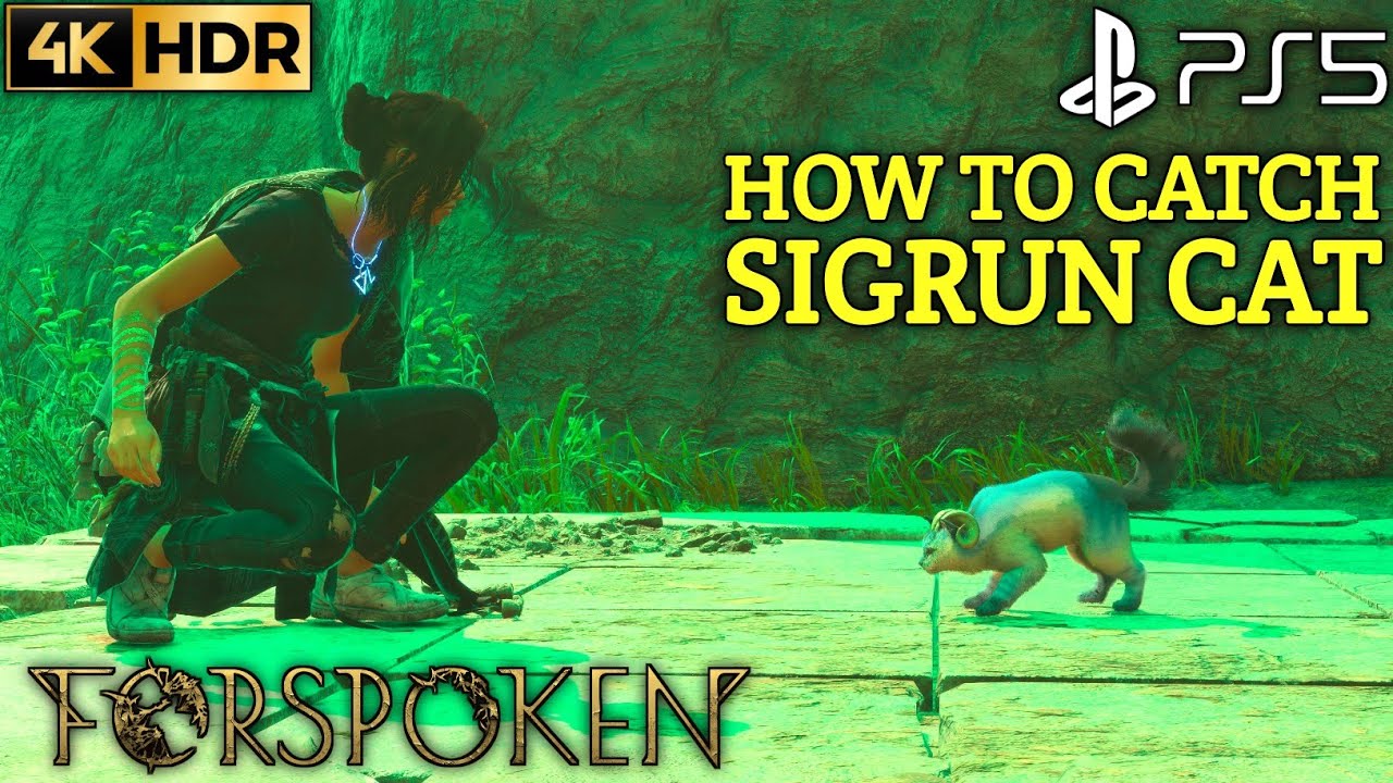 How to Get Sigrun Cat FORSPOKEN Sigrun Cat Location | Forspoken Cat Sigrun Location | Forspoken Cat