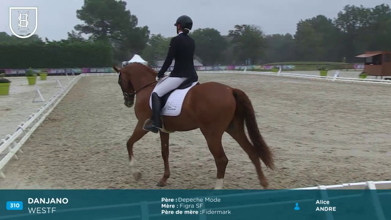Saumur 2019 - DANJANO, Champion Cycle Libre 3eme année 6 ans