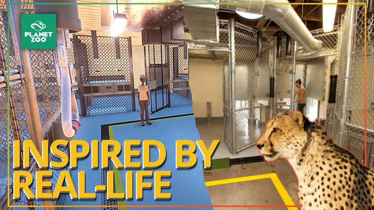 Realistic Indoor Cheetah Facility | Planet Zoo Speed Build