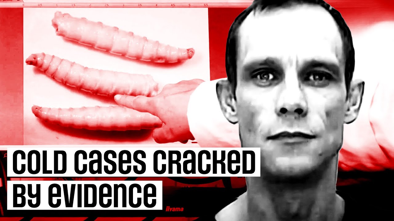 How A Blowfly Larvae Cracked a Decades-Long Murder Mystery | 3 Incredible Cold Cases Marathon