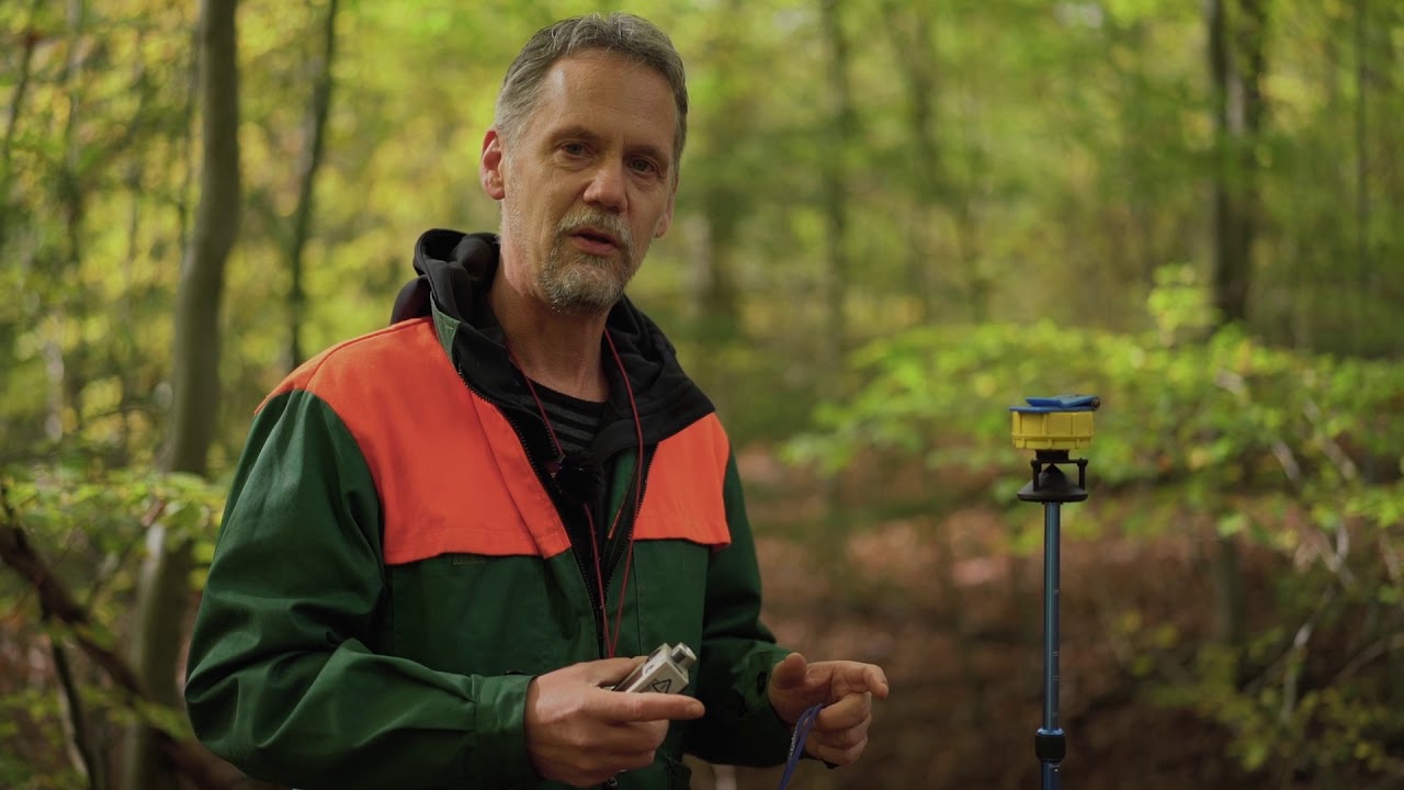 How to assess (nested) fixed area forest inventory plots