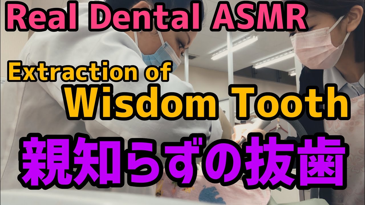 Real Dental ASMR 