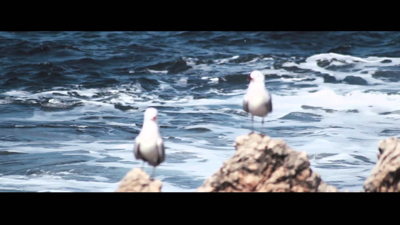 Surfing Mallorca - Long Will Productions