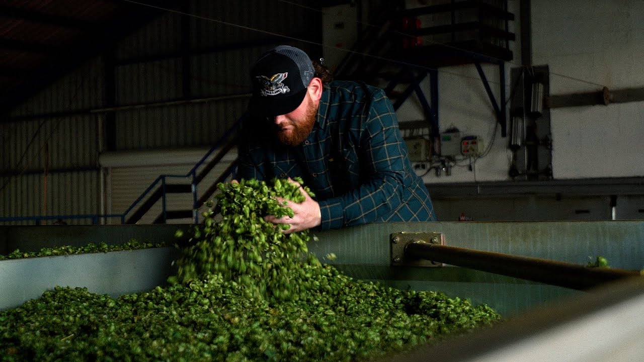 VOLK FLANNEL x GREEN GOLD