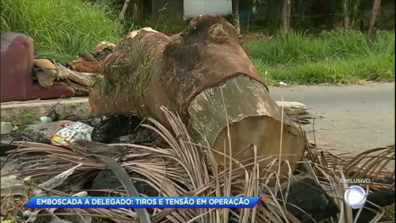Cidade Alerta acompanha megaoperação da polícia em comunidade carioca