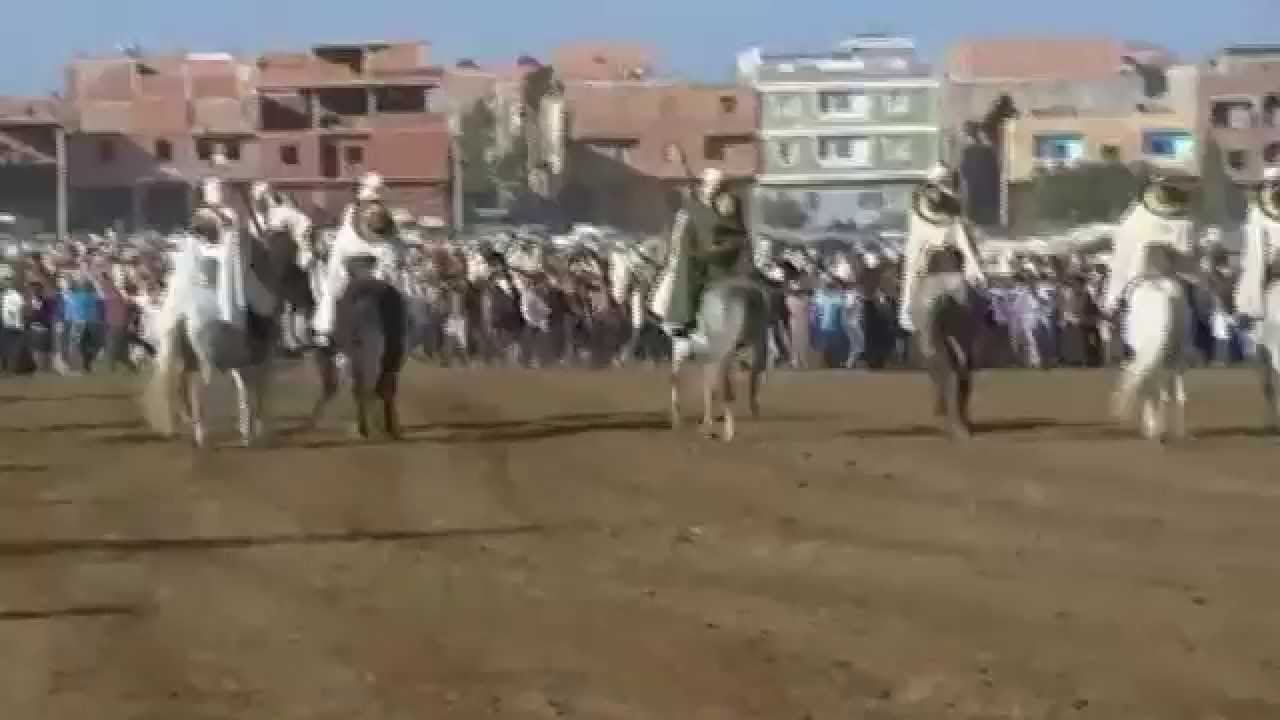 الصالون الوطني للحصان تيارت ـ الجزائر 2014 البارود 