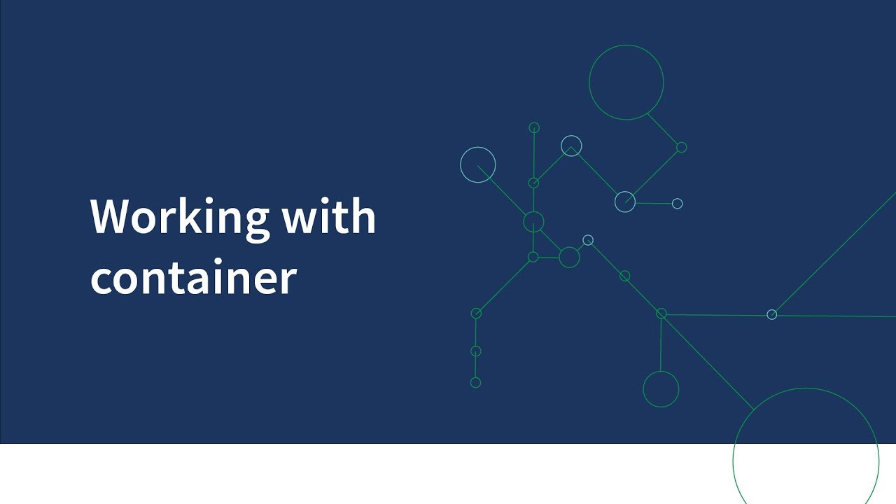 Working with container in Qlik Sense