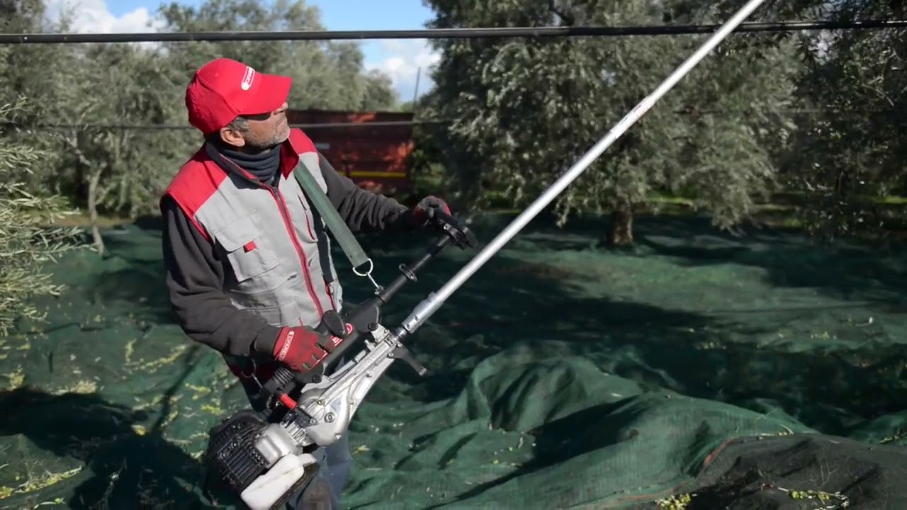 &Delta;&omicron;&nu;&eta;&tau;ή&sigmaf; &epsilon;&lambda;&iota;ά&sigmaf; Cifarelli SC605