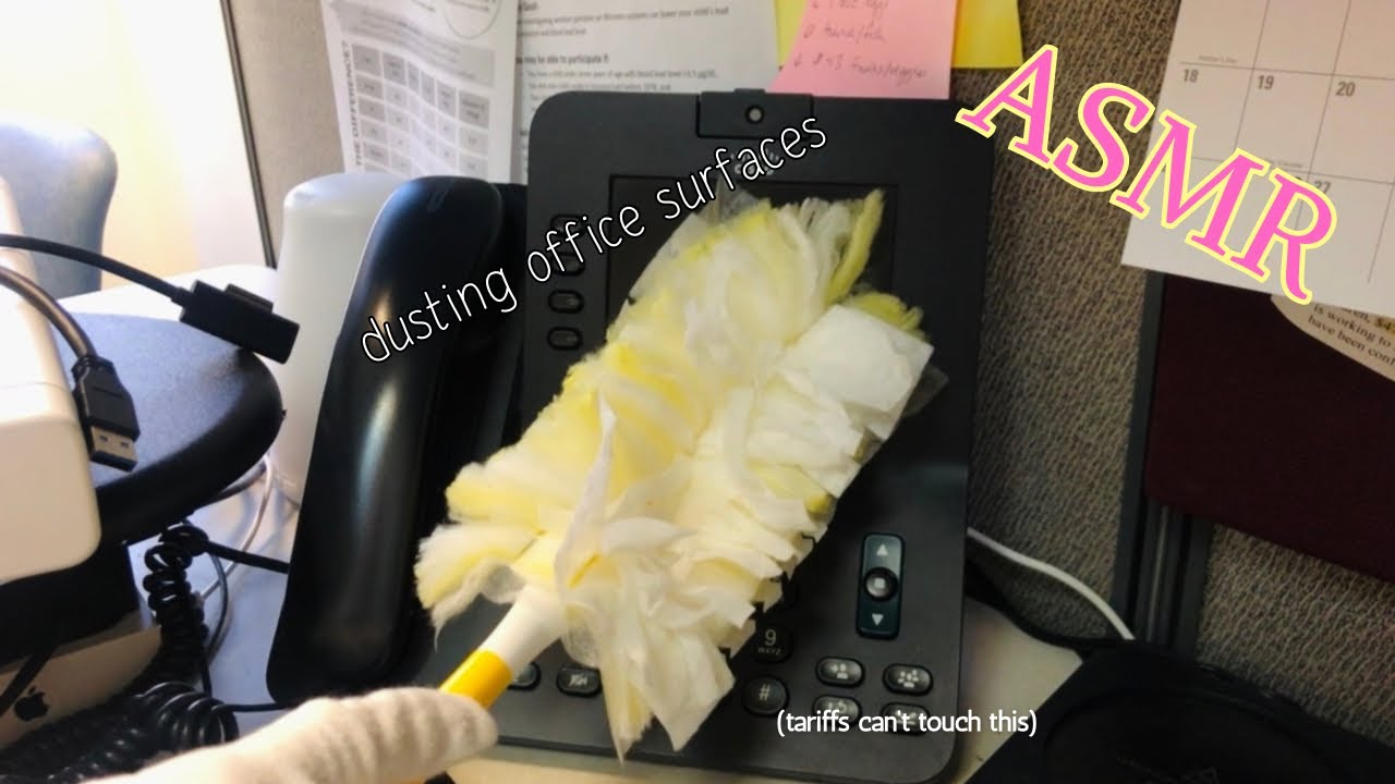 ASMR dusting office surfaces with Swiffer duster. (no talking) #asmr #asmrcleaning