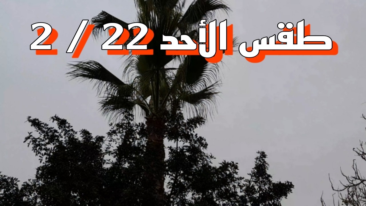 الأرصاد تحذر: شبورة ورياح مثيرة للأتربة وتغيرات ملحوظة في الحرارة غدا الأحد 22 فبراير