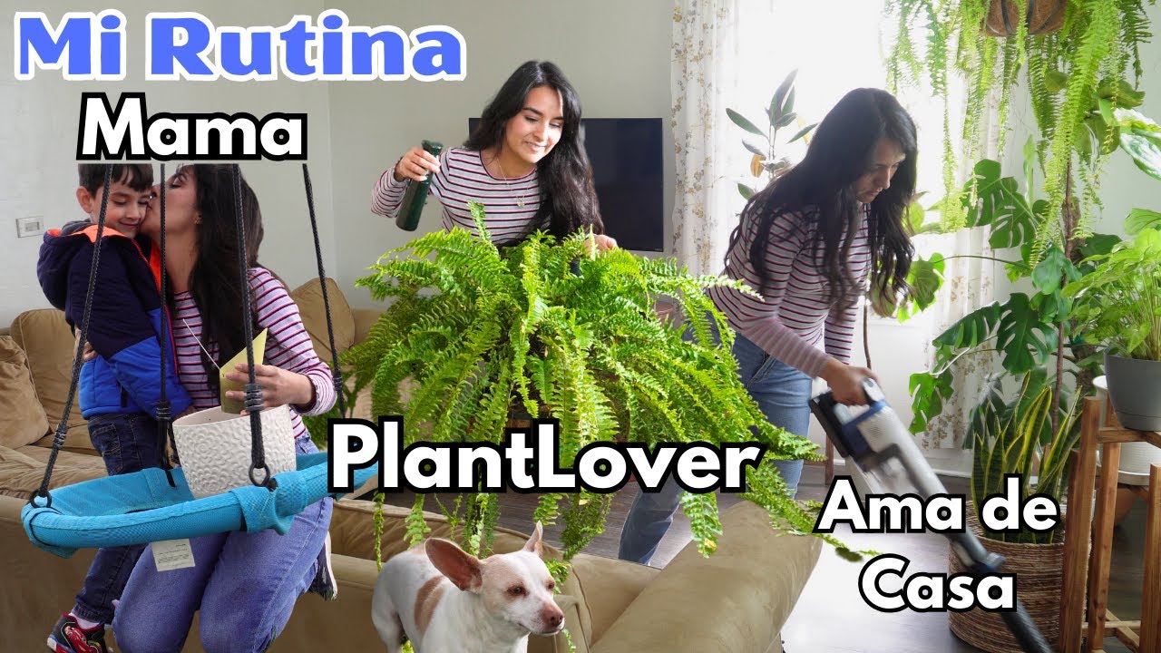 Mi Rutina de Mama👩‍👦 - Plant lover🪴 - Ama de Casa