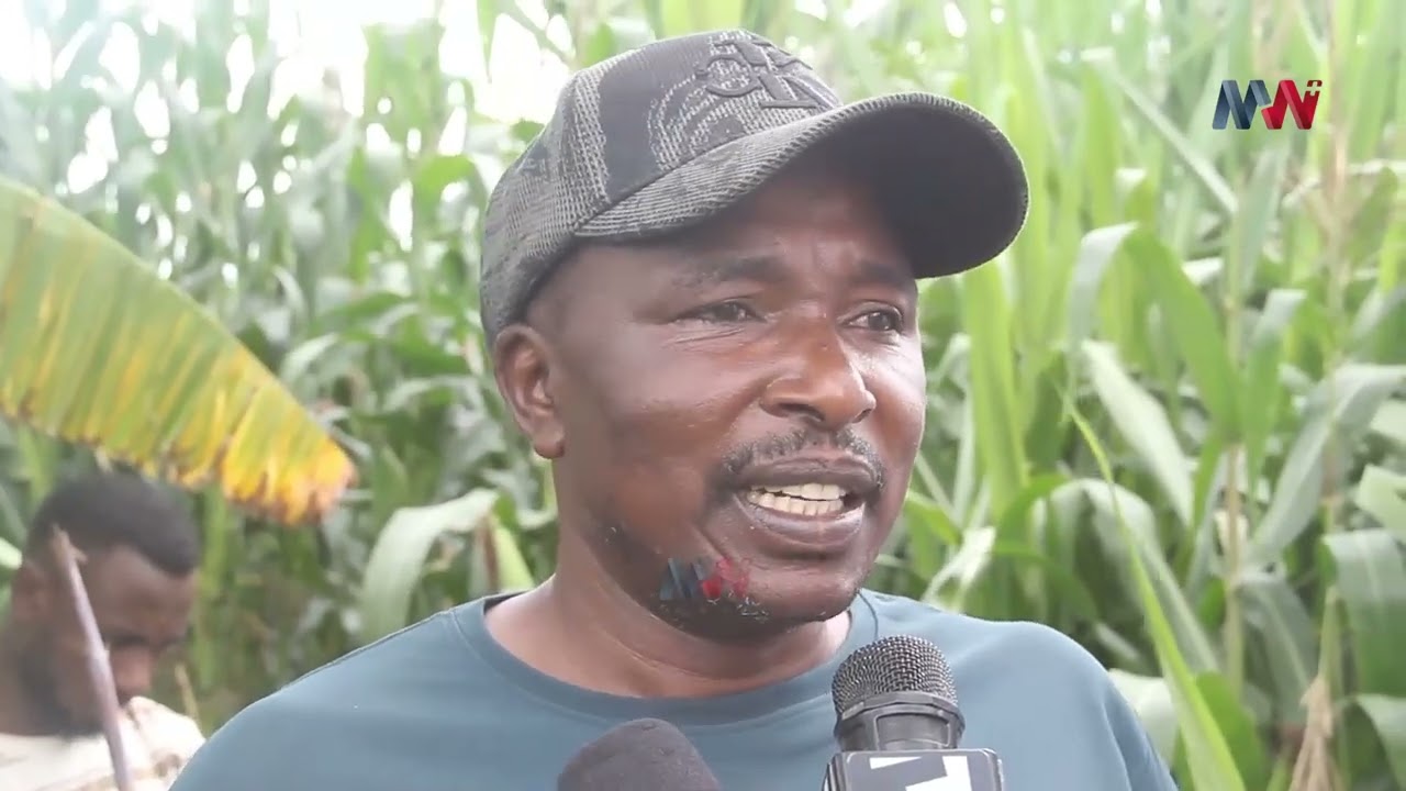 MAFURIKO YAZUA KIZAA ZAA MBEYA, YAWATESA WANANCHI WA MANGA VETA MBEYA KISA MTARO KUTOJENGWA