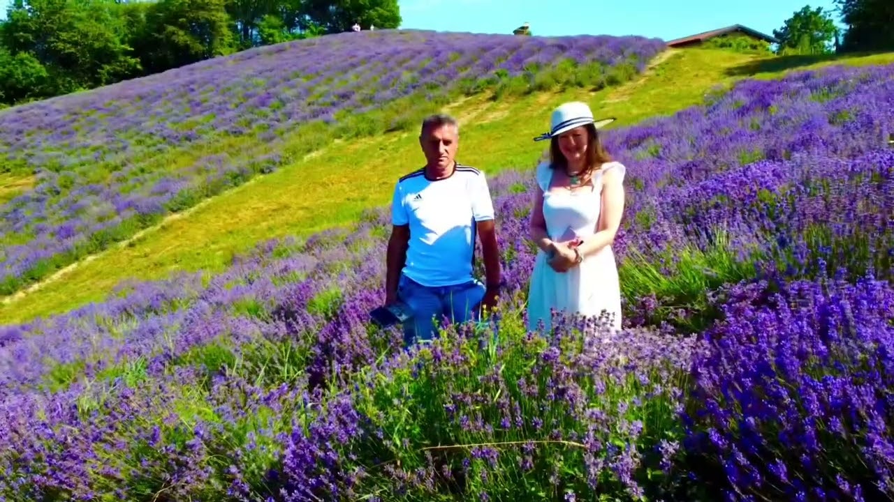 SALE SAN GIOVANNI (fioritura lavanda)