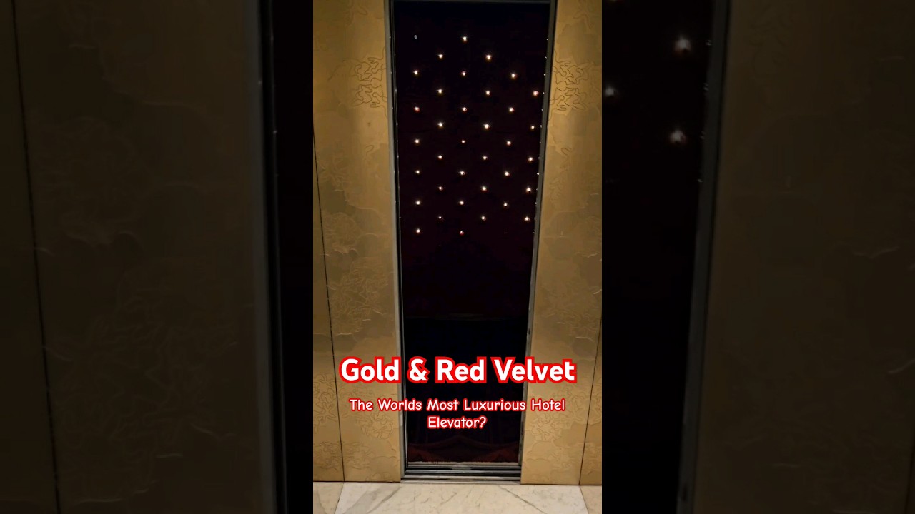 The Worlds Most Luxurious Hotel Elevator? 😍 