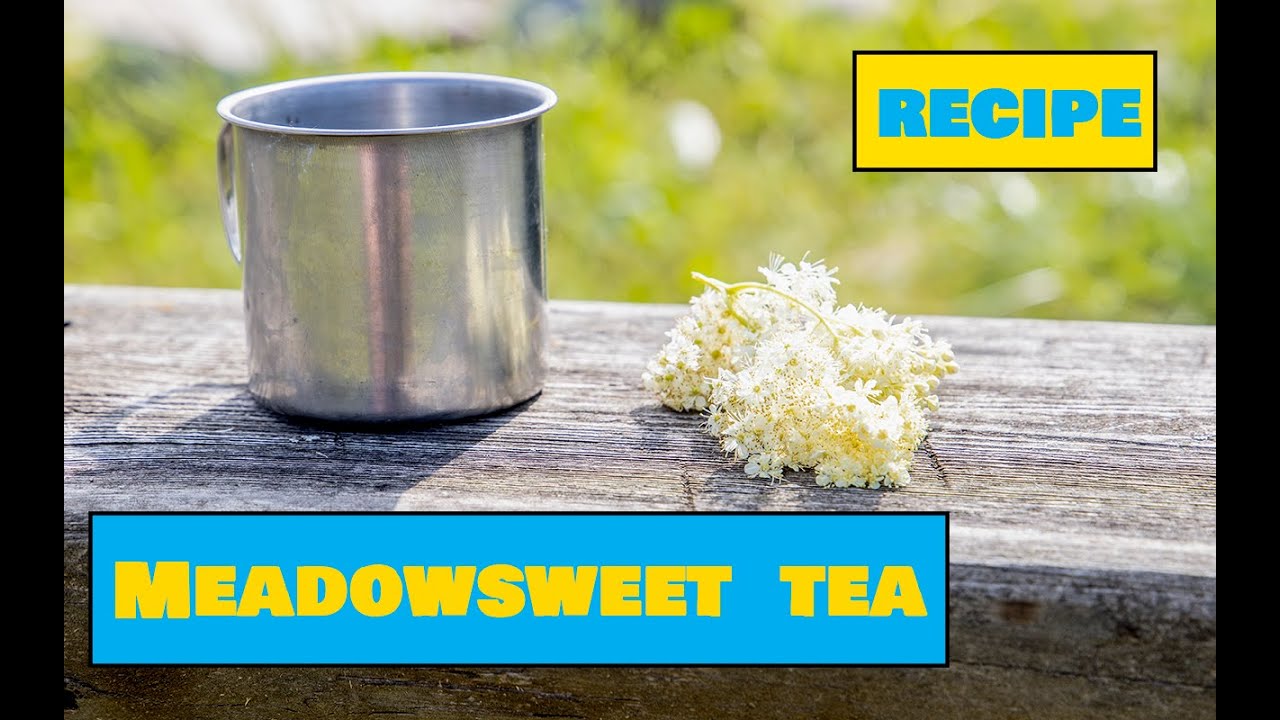 How to Make Meadowsweet Tea - Easy Outdoors Drinks