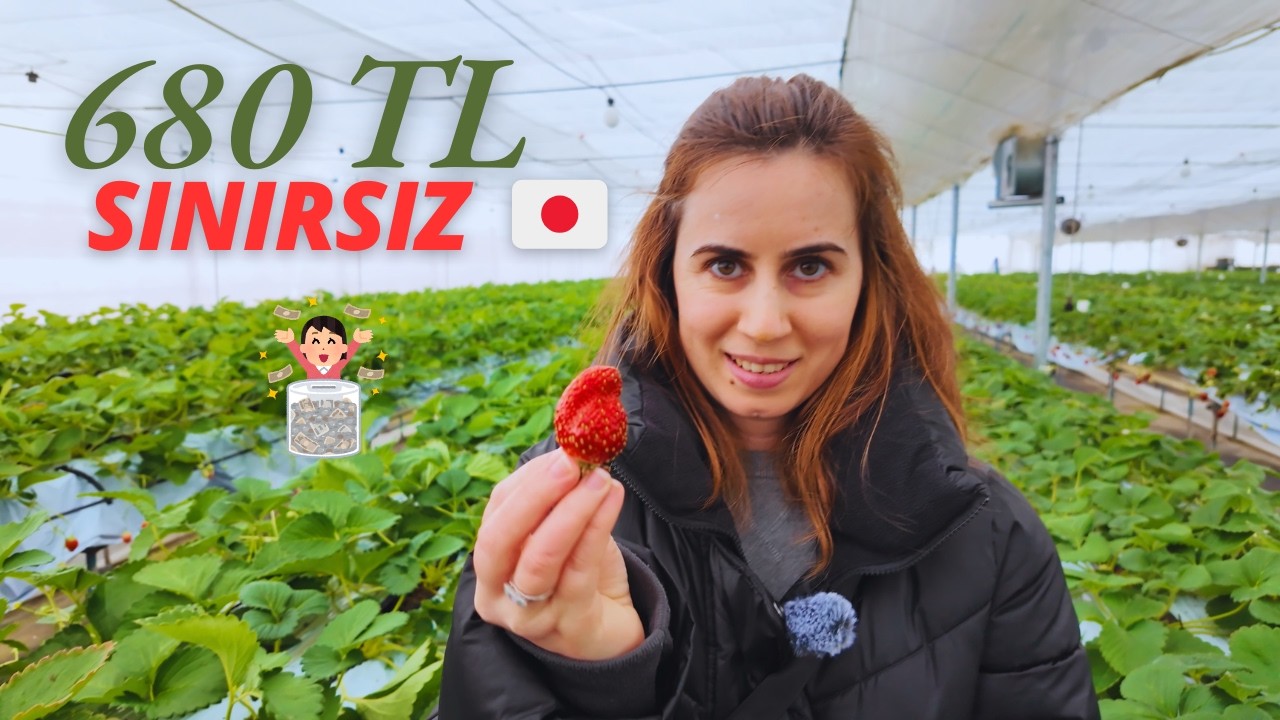680 TL'ye 40 Dakika Sınırsız Çilek! 🍓🇯🇵 Japonya'nın Çileklerini Denedik