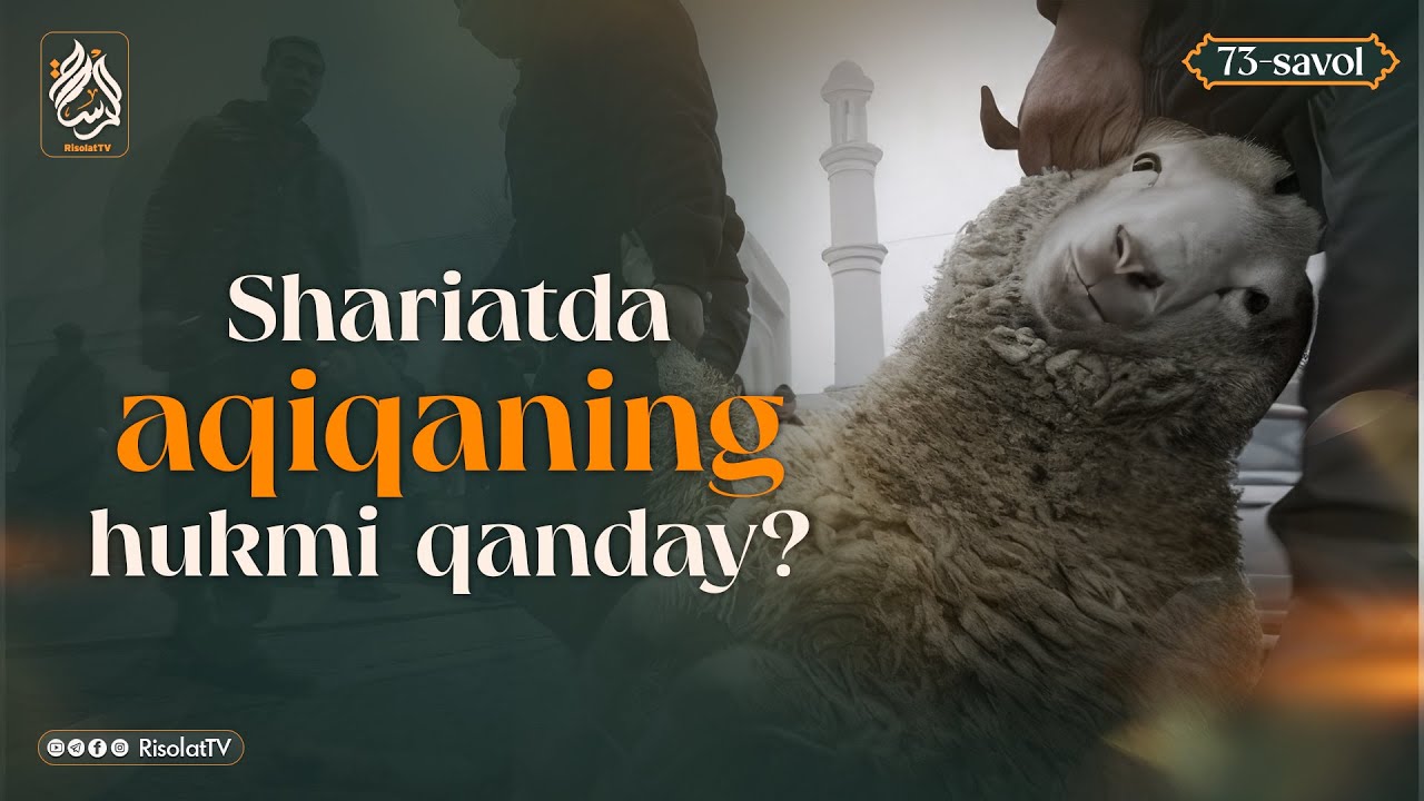73-savol | Shariatda aqiqaning hukmi qanday? | Ustoz Abu Abdulloh #savol #javob #aqiqa #risolattv