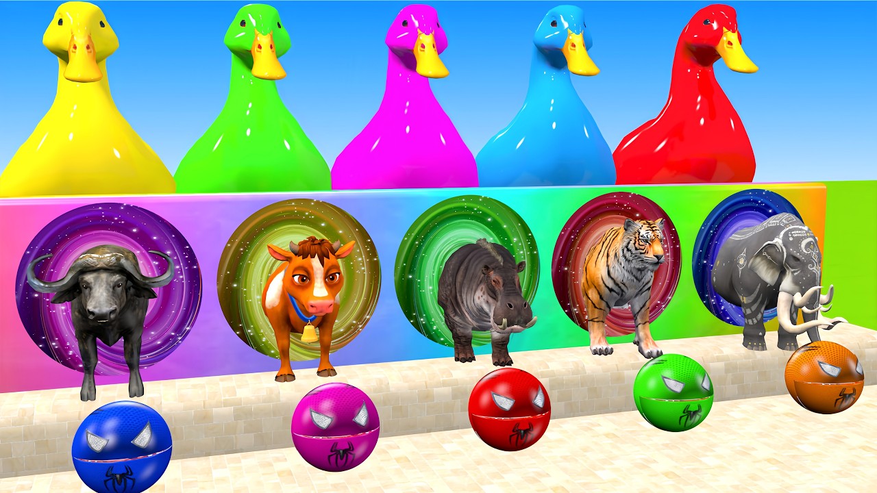 Long Slide Game With Cow Elephant Gorilla Hippopotamus Tiger 3d Animal Game Funny 3d Animals