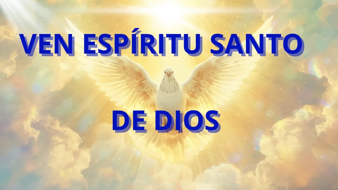 ESTOY CONTIGO