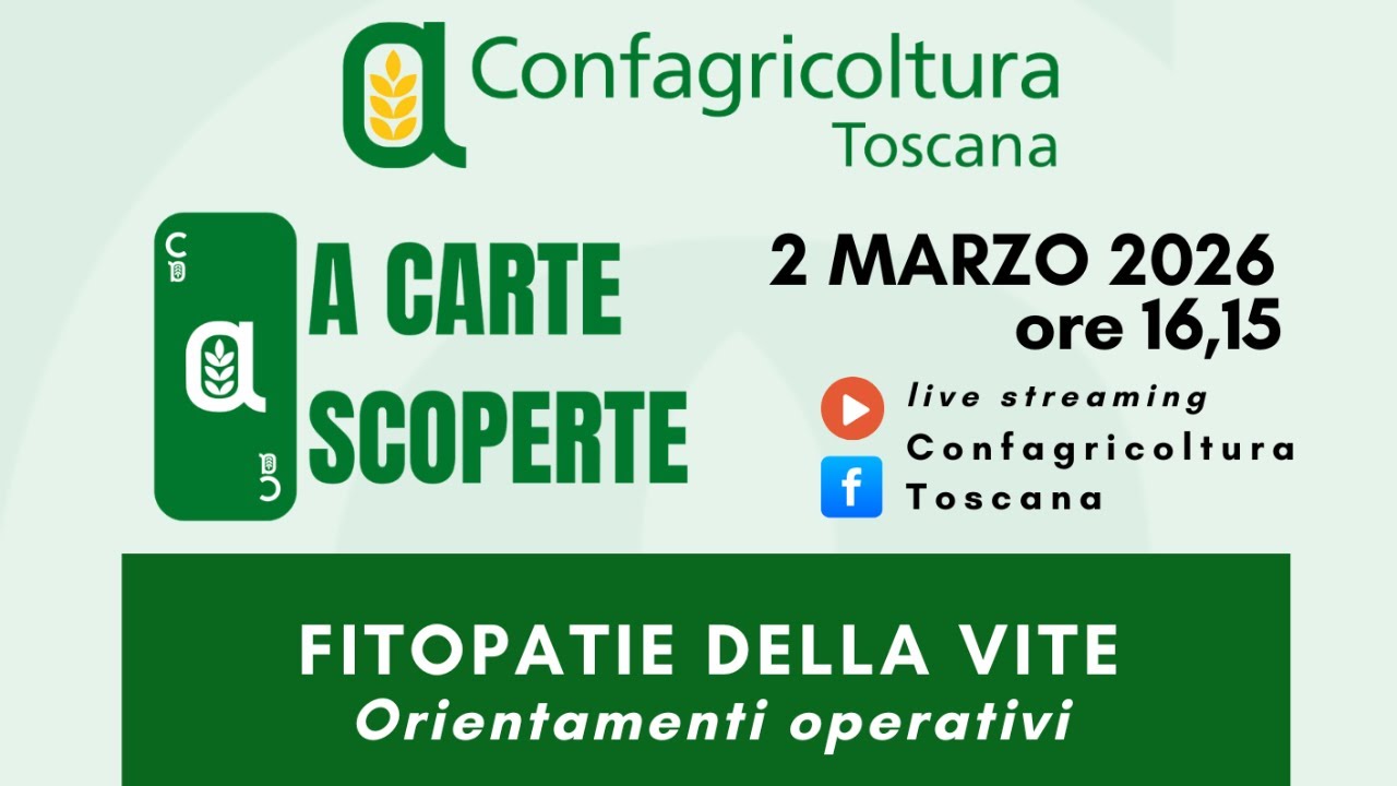 Fitopatie della vite: orientamenti operativi