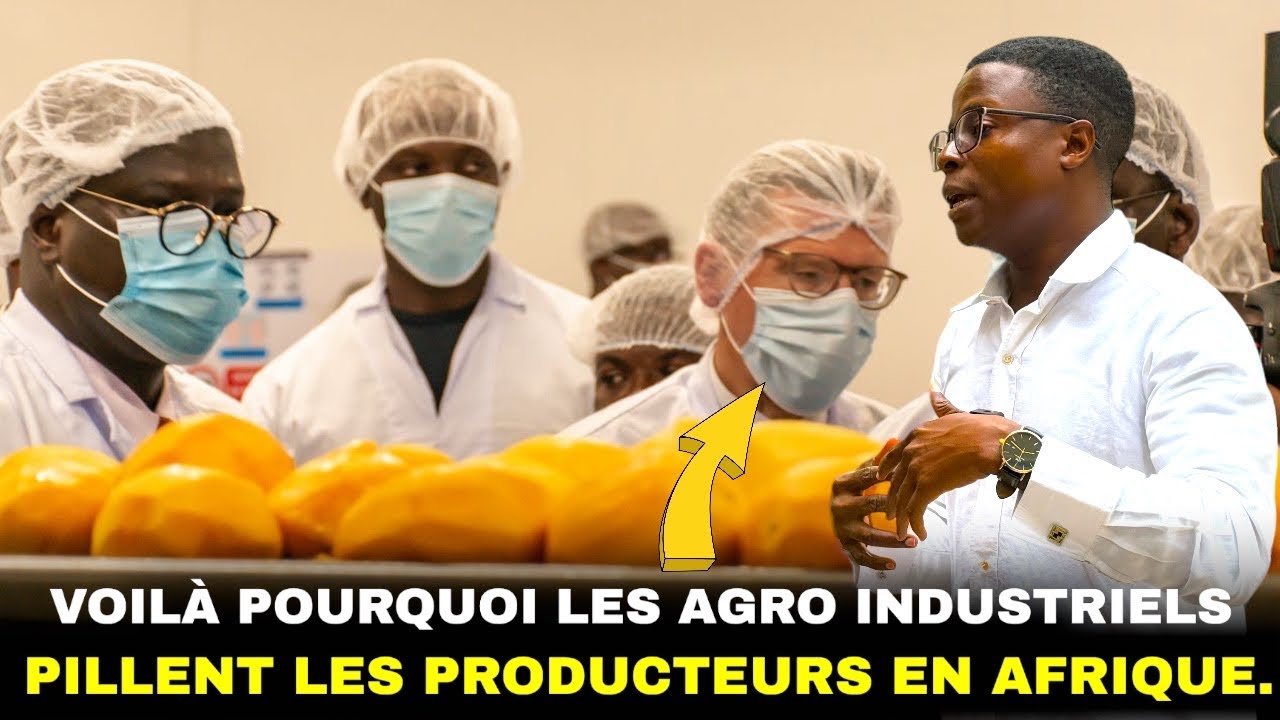 Voilà la raison pour laquelle les usines agroalimentaires pillent les agriculteurs en Afrique.