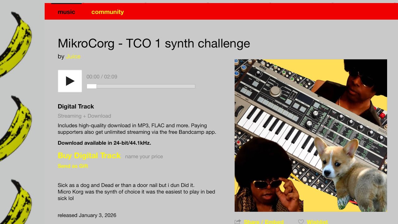One Synth Challenge All Tracks