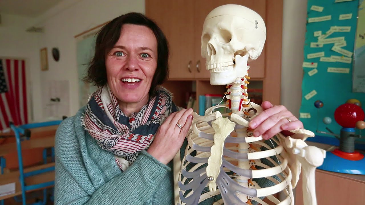 Virtuální den otevřených dveří Wigymu_Anglický jazyk