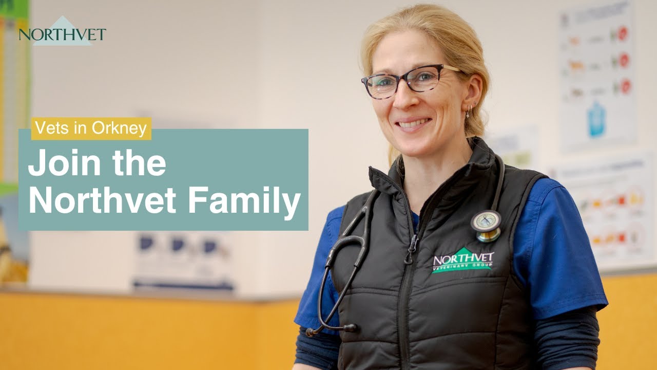 Join Northvet Family in Orkney