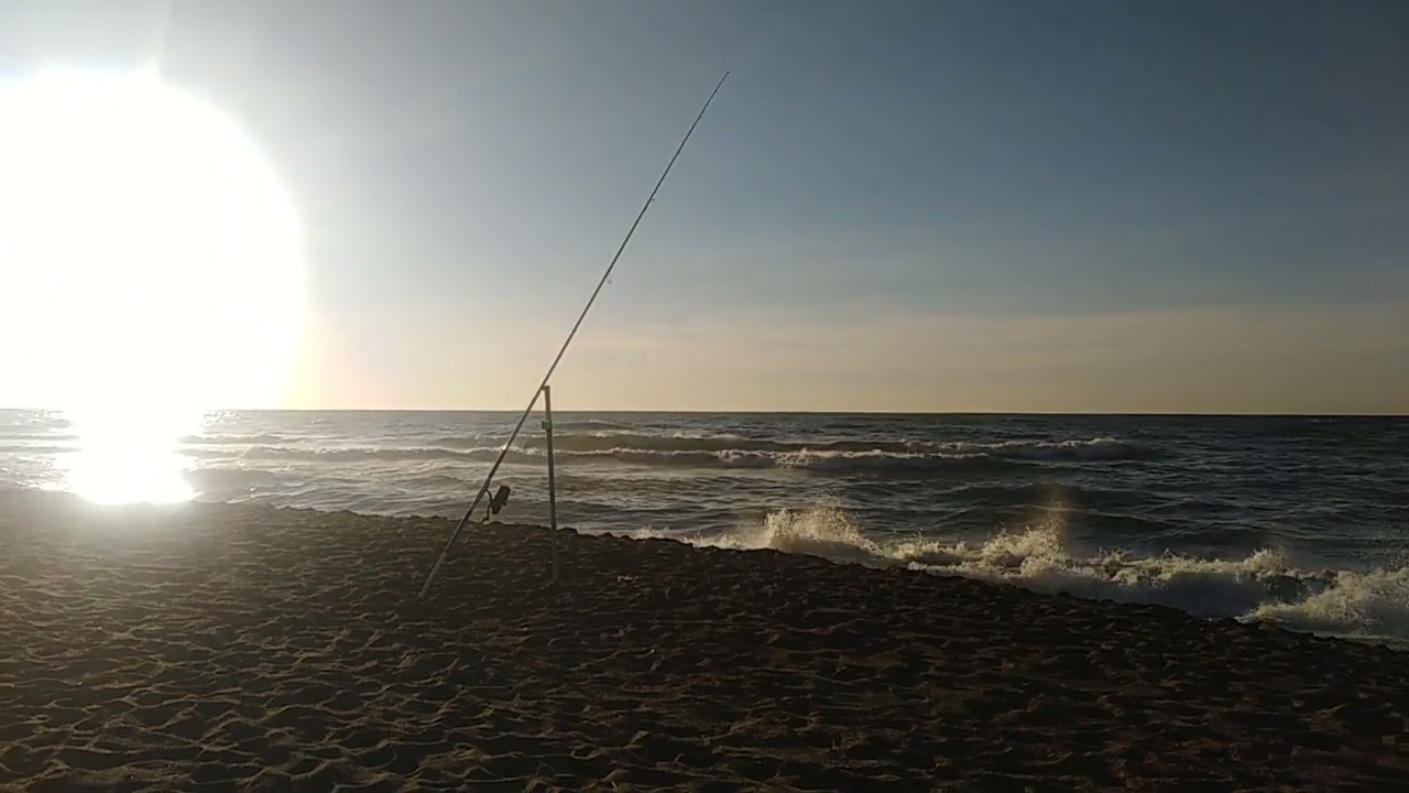 sortie en surfcasting 🎣🌊E/NE ZERALDA PLAGE, Alger.