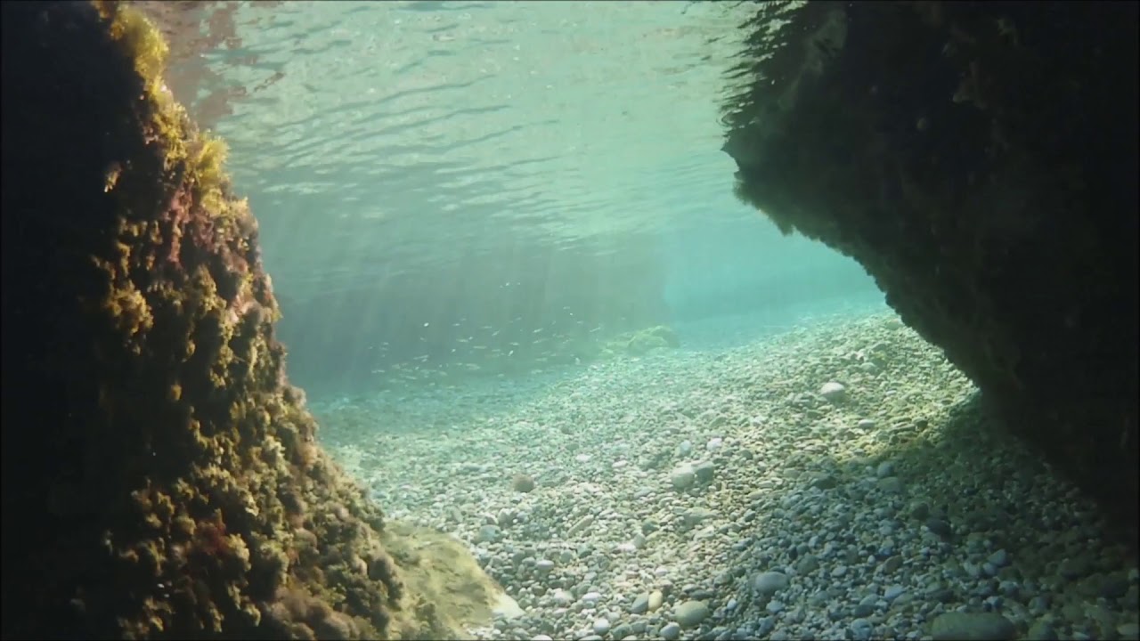 Liapades Beach Korfu 2020 - život v moři