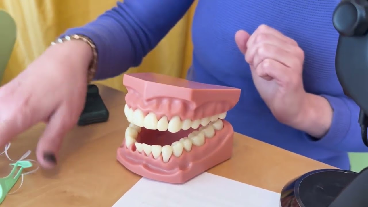 Tooth Brushing and Flossing Demo