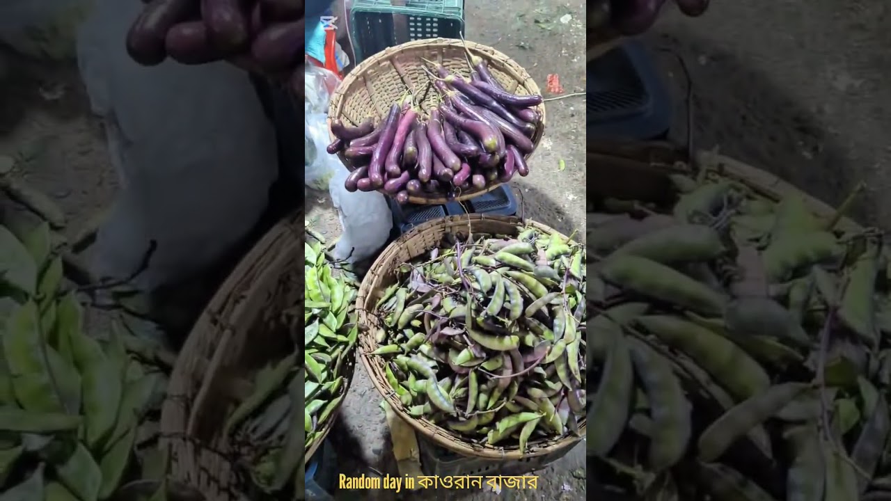 Random Day in Dhaka Karwan Bazar