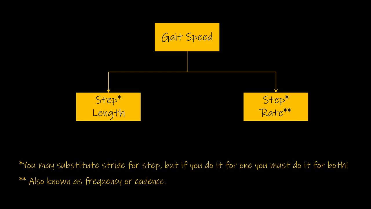 Walking Gait Basics