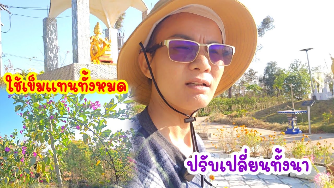 ป้าเริ่มจะเหมือนลุง...เปลี่ยน ย้ายทั่วทั้งนา#ป้าแต๋นชาเเนล 