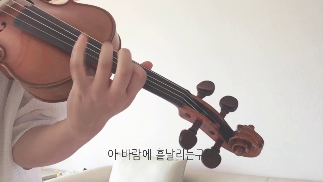 산하엽(Diphylleia grayi) - 종현(JONGHYUN) Violin cover