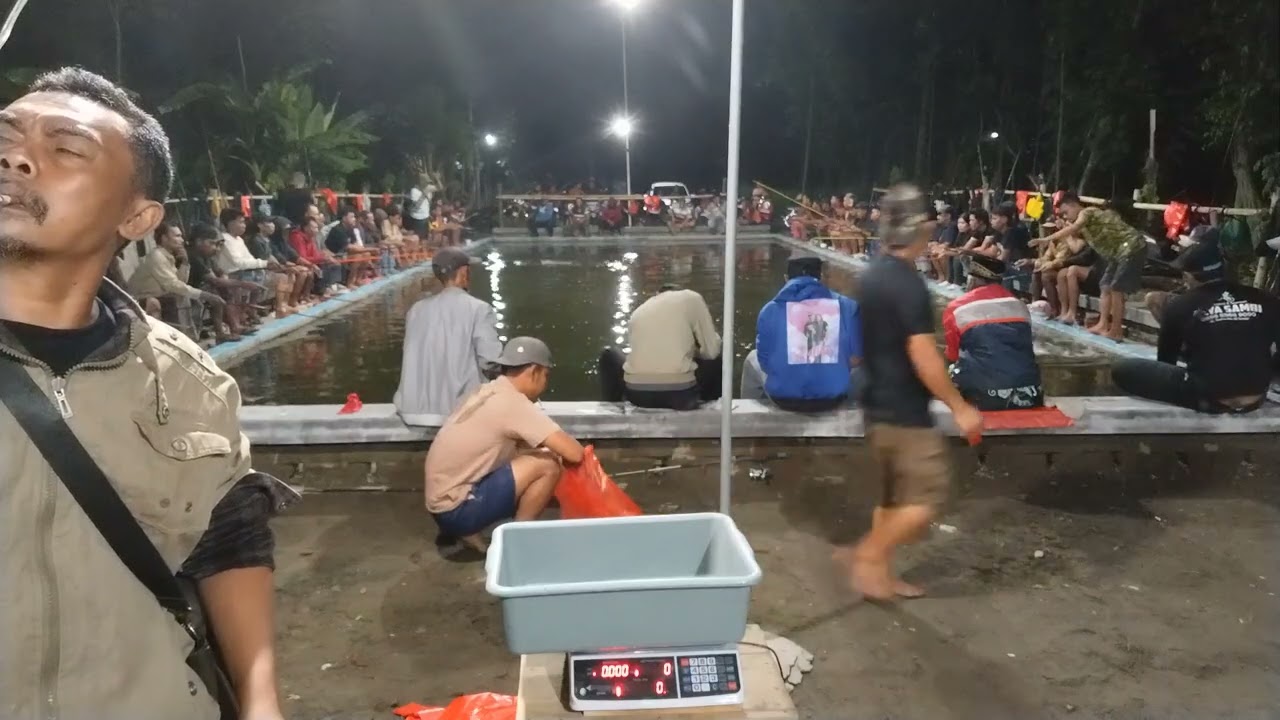 Galatama ikan lele Kp. STFAN Krandang Tiket 100rb untuk 3x show Jumat 20 februari 2026