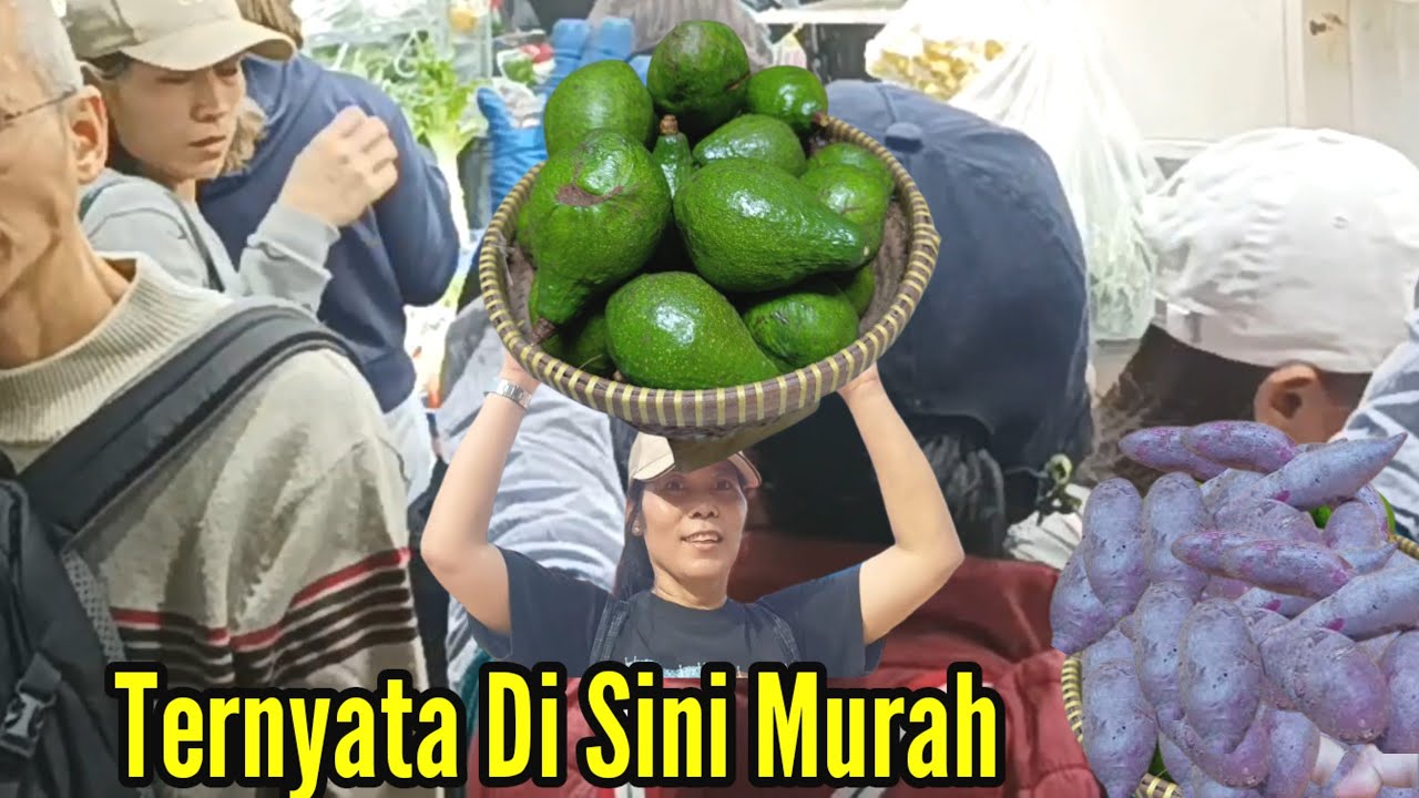 Berburu Alpokat Ketela dan buah pear di Hongkong Sekalian Review Pasar Sayur WAN chai 