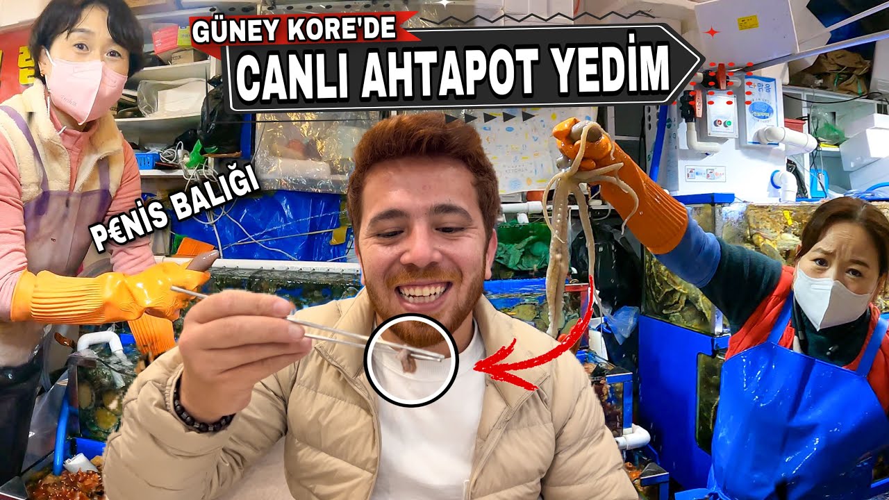 KORE’de CANLI AHTAPOT VE İLGİNÇ DENİZ CANLILARINI YEDİK / SEUL BALIK PAZARI  @Ali Ertugrul TV