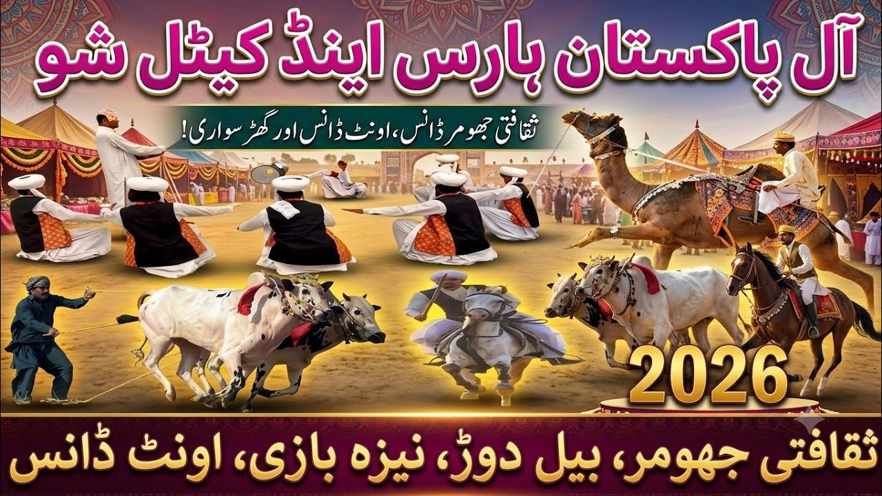 Horse and cattle show 2026 || Tent pegging || animal show