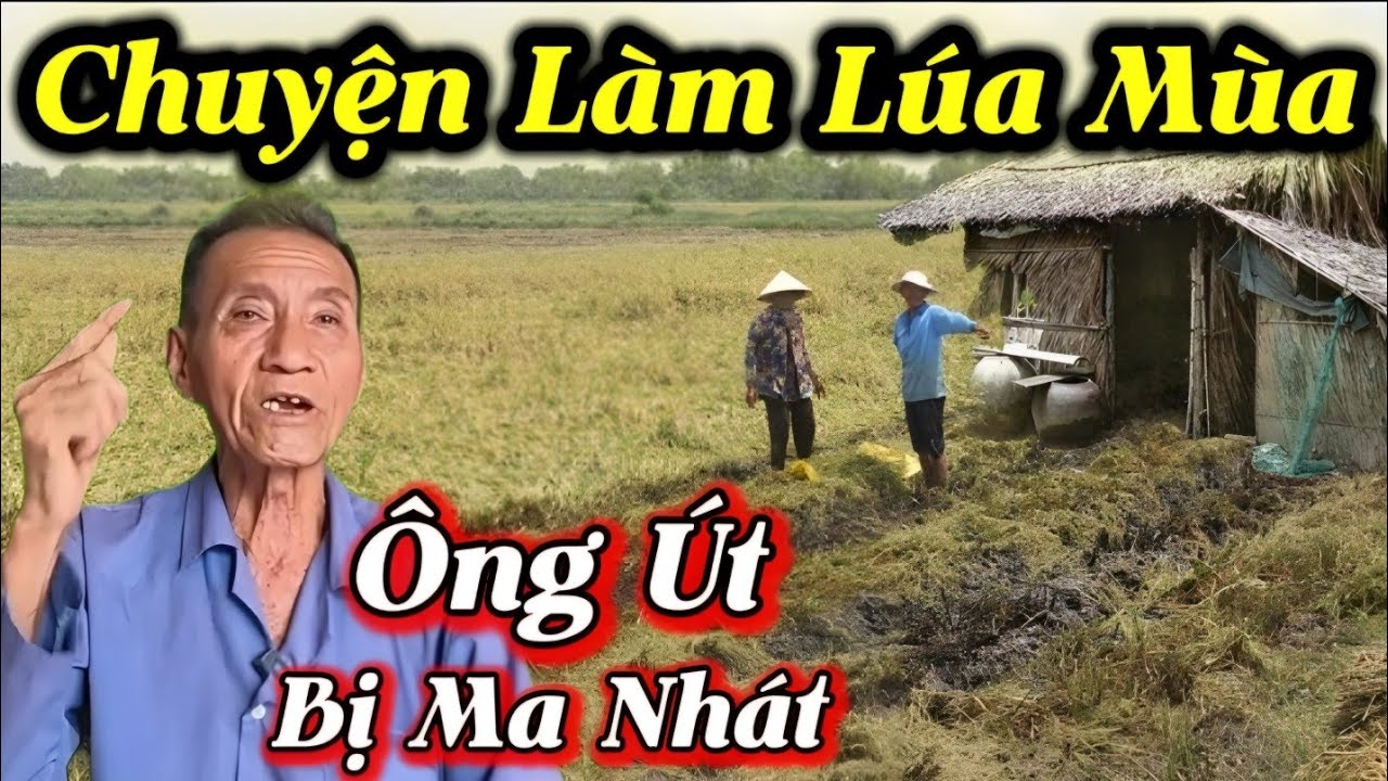 Chuyện L&agrave;m L&uacute;a M&ugrave;a &Ocirc;ng &Uacute;t Bị Ma Nh&aacute;t...