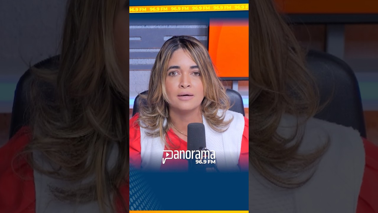Nilda Alaniz expresa que un candidato independiente puede ser un peligro.