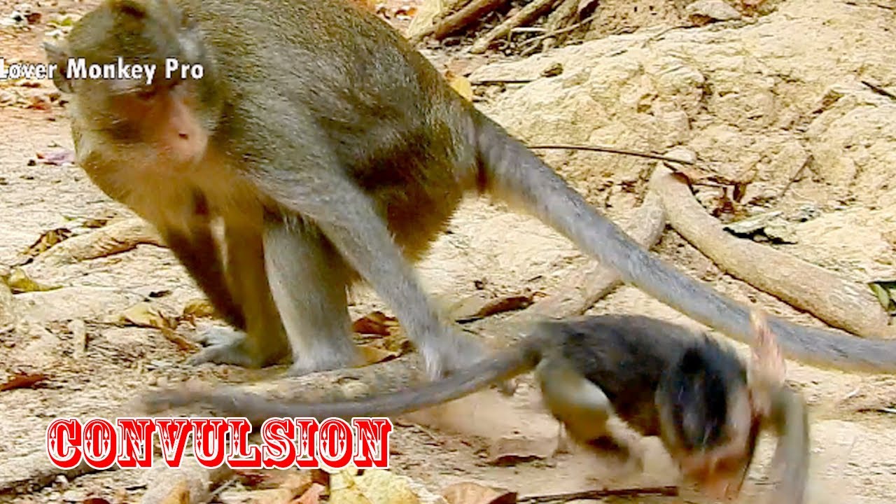 Million pity Anissa cry convulsion on ground begging mom for milk, Anissa seizure need mom attention
