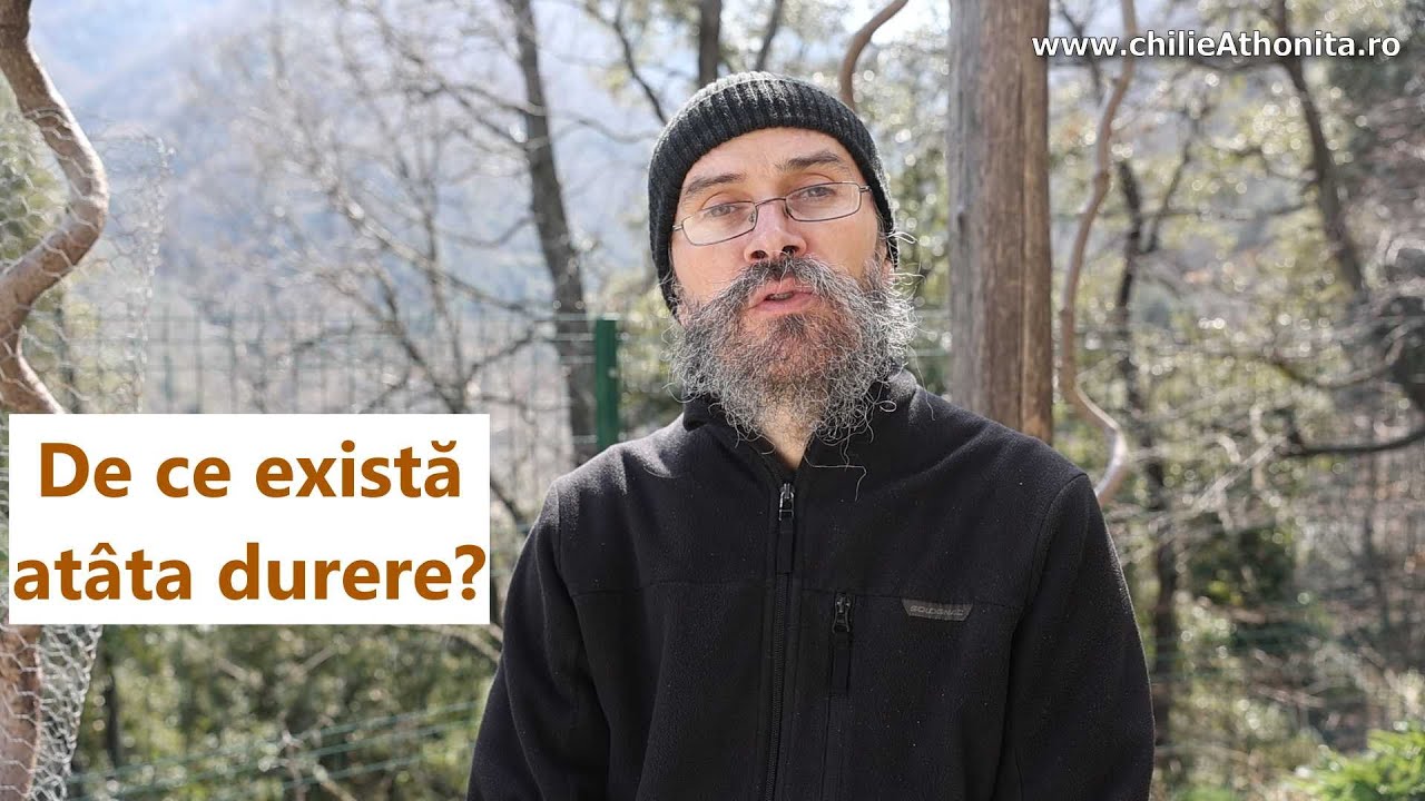 De ce există atâta durere? - părintele Teologos