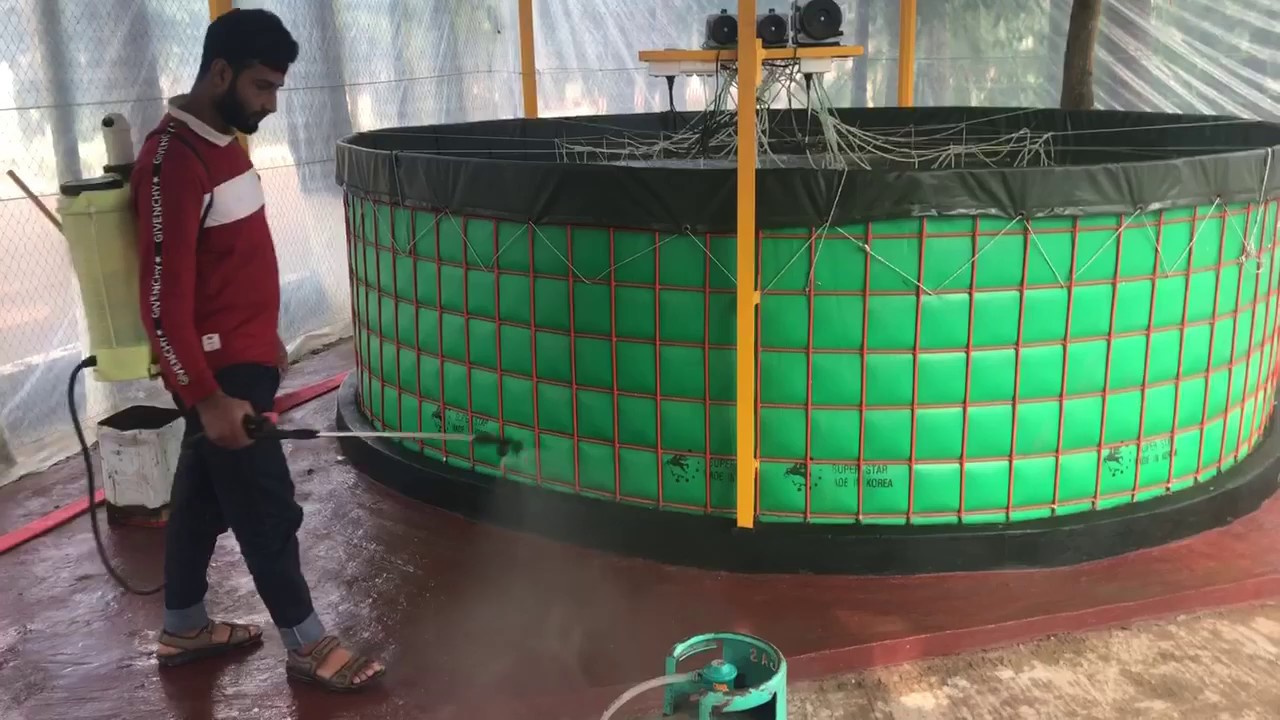 Biofloc tank outside bio security maintain by Romel Agro Bangladesh