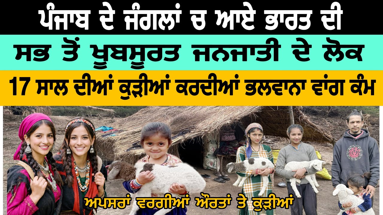ਭਾਰਤ ਦੀ ਸਭ ਤੋਂ ਖੂਬਸੂਰਤ ਜਨਜਾਤੀ ਦੇ ਲੋਕ 17 ਸਾਲ ਦੀਆਂ ਕੁੜੀਆਂ ਕਰਦੀਆਂ ਭਲਵਾਨਾ ਵਾਂਗ ਕੰਮ|punjab |update