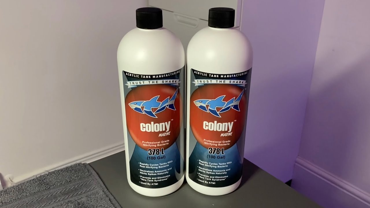 Waterbox peninsula 7225 860L reef aquarium build ep4. Substrate and cycle