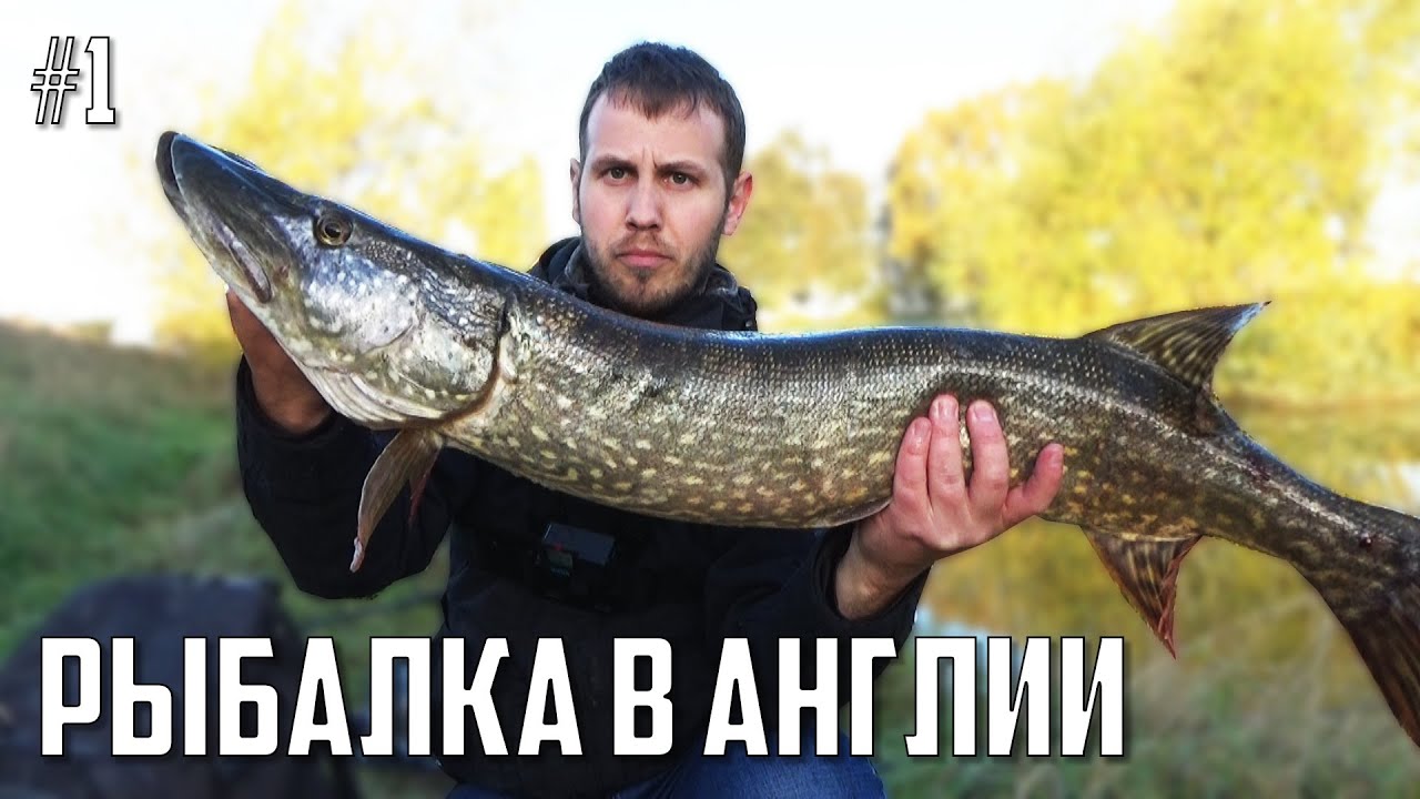 РЫБАЛКА В АНГЛИИ - Ловля Щуки на Мёртвую Рыбку