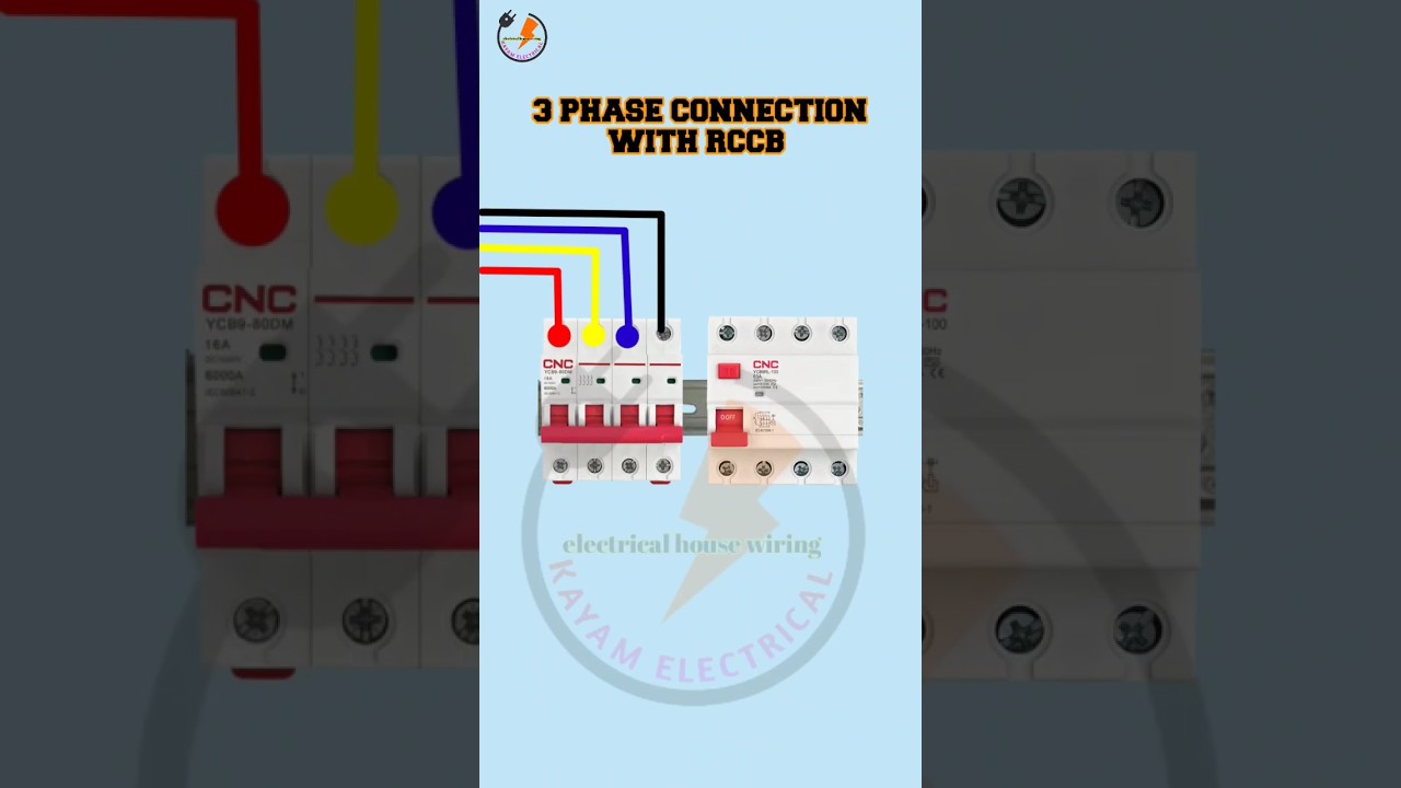3 phase MCB connection with RCCB #circuit #electrical #shortvideo