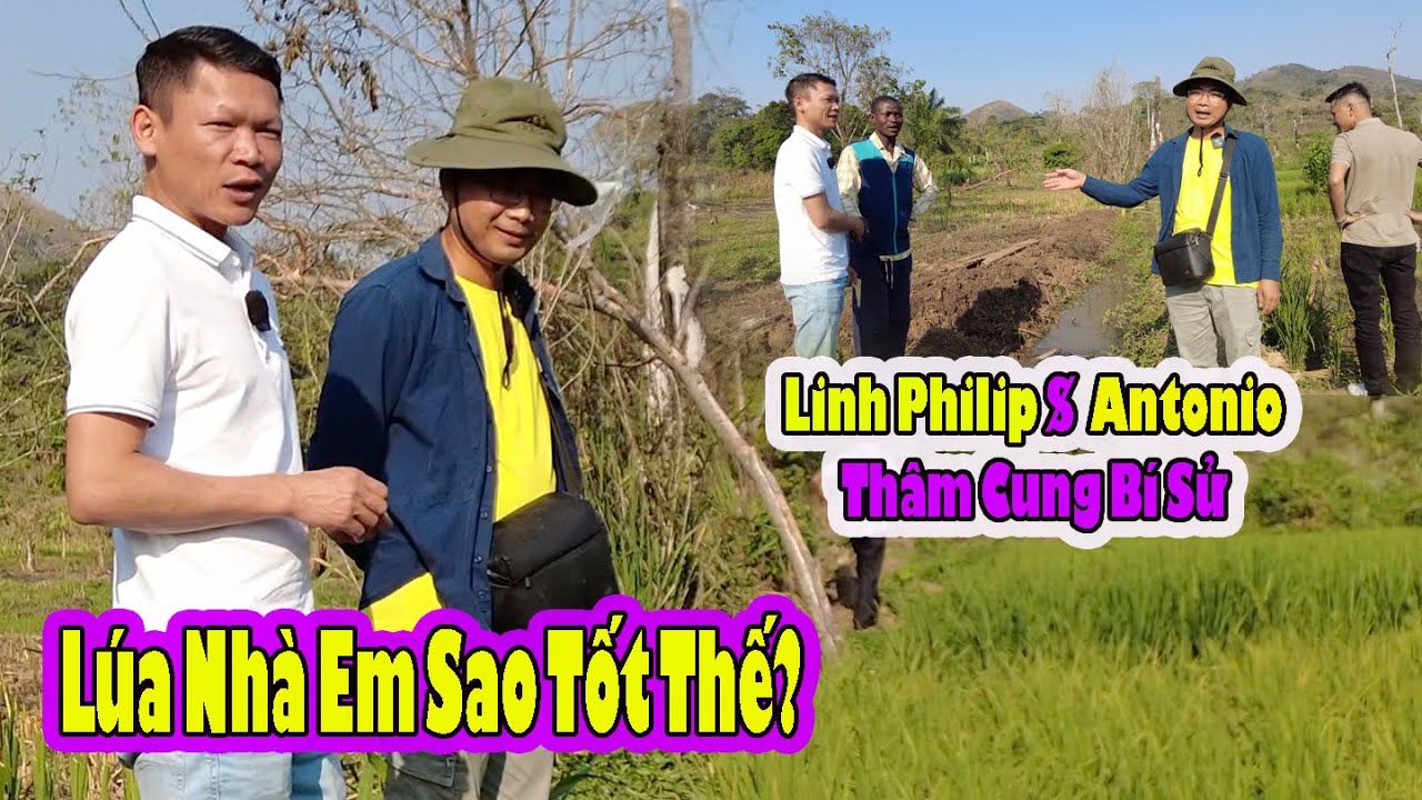 2Q VLogs||Chào đón @Linh Philip Vlogs - Cuộc Sống ở Châu Phi tới thăm trang trại 2Q || Cuộc Sống Châu Phi